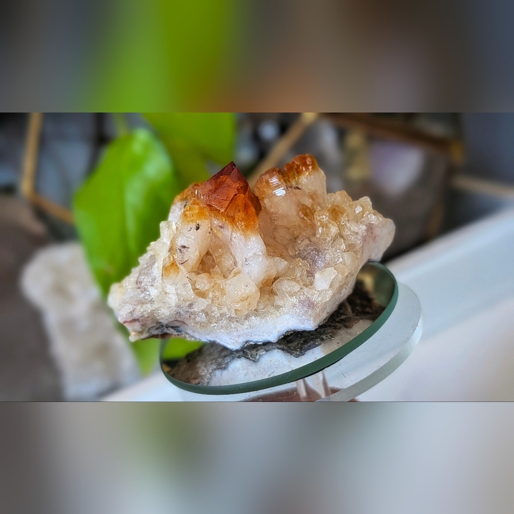 Citrine Quartz Crystal Cluster
